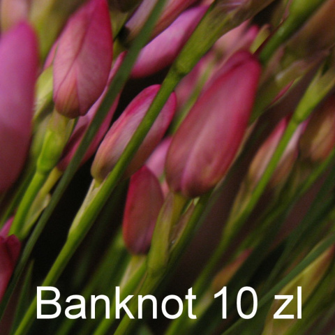Dopłata 010 Dopłata 010