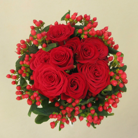 SB-082 SB-082