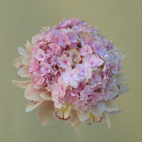 SB-036-35 SB-036-35
