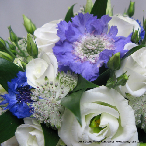 SB-017-35 SB-017-35
