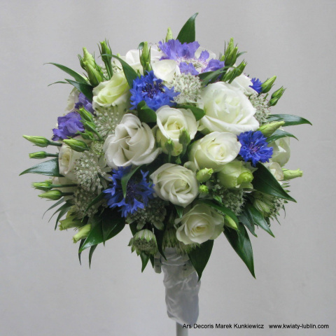 SB-017-35 SB-017-35
