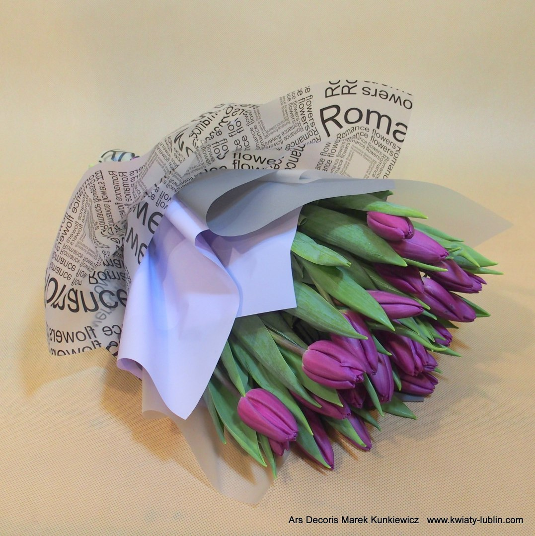 Tulipany opatulone.... różne kolory Tulipany opatulone.... różne kolory