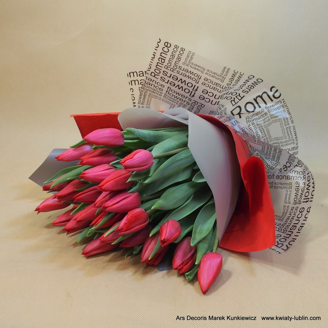Tulipany opatulone.... różne kolory Tulipany opatulone.... różne kolory