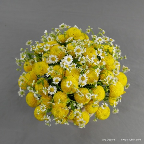 Flowerbox rumianki FB-42-15-06 Flowerbox rumianki FB-42-15-06