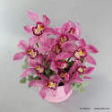 Flowerbox cymbidium FB-050-80