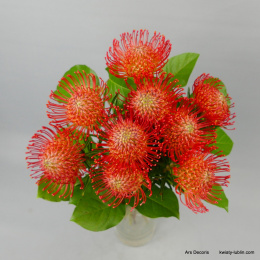 Protea bukiet ............. od 5 do 40 szt