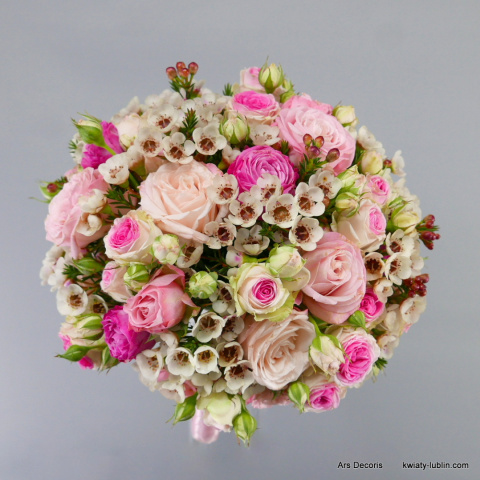 SB-009-50 SB-009-50