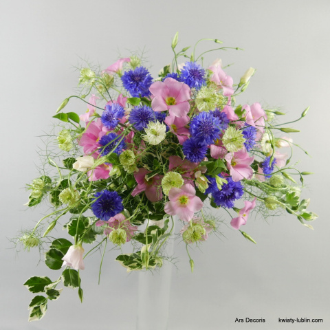 SB-010-50 SB-010-50
