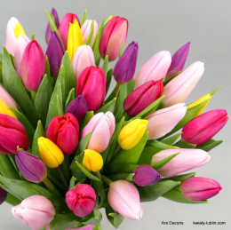 Tulipany, różne kolory .................... od 9 do 100 szt