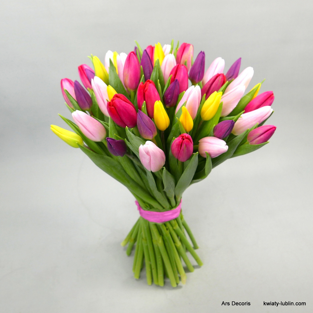 Tulipany, różne kolory .................... od 9 do 100 szt Tulipany, różne kolory .................... od 9 do 100 szt