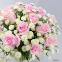 Bukiet róże i białe dodatki ................. 3 wielkości bukietu