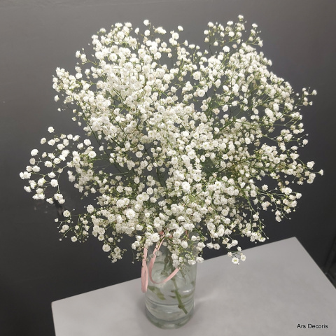 Gipsówka BI-107-10 .......................... od 5 do 50 gałazek, wybór koloru