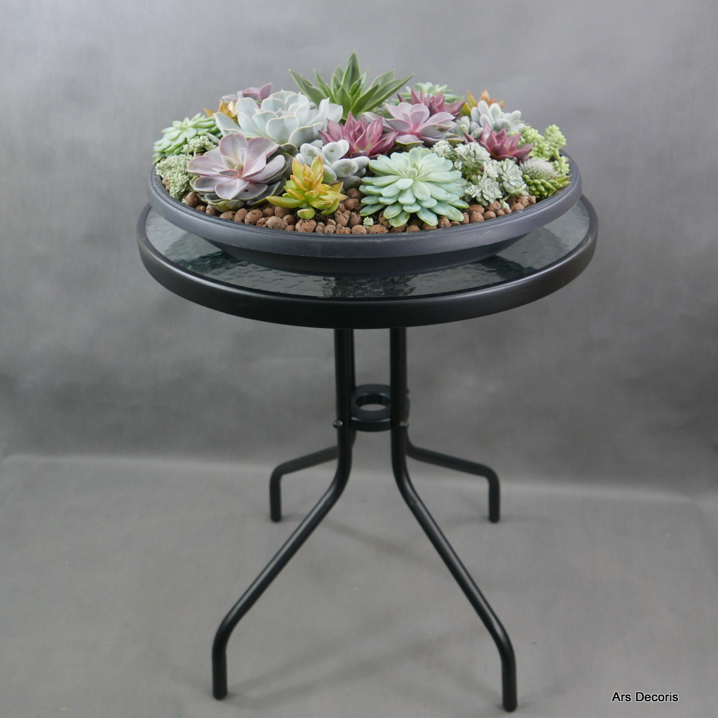 Ogródek z sukulentów 54 cm (1) ... SU-056 Ogródek z sukulentów 54 cm (1) ... SU-056