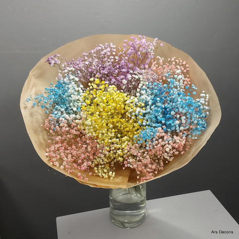 Gipsówka BI-107-10 .......................... od 5 do 50 gałazek, wybór koloru