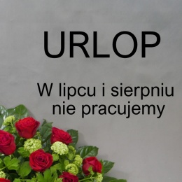 Goździki - różne kolory ... BI-034-08... od 5 do 100 szt