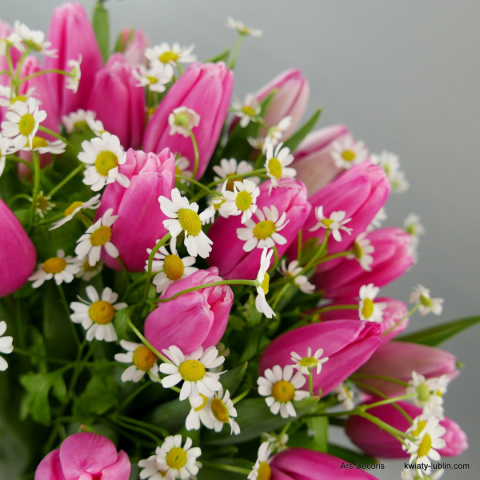 Tulipany i rumianki..... różne kolory i rozmiary Tulipany i rumianki..... różne kolory i rozmiary