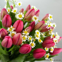 Tulipany i rumianki..... różne kolory i rozmiary