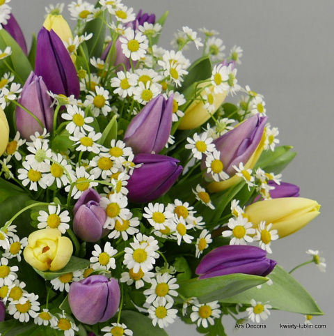 Tulipany i rumianki..... różne kolory i rozmiary Tulipany i rumianki..... różne kolory i rozmiary
