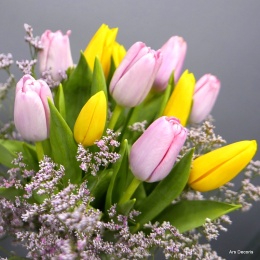 Tulipany z limonium ... 3 wielkości bukietów